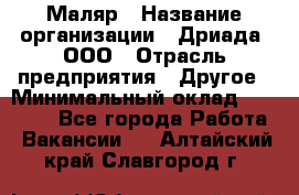 Маляр › Название организации ­ Дриада, ООО › Отрасль предприятия ­ Другое › Минимальный оклад ­ 18 000 - Все города Работа » Вакансии   . Алтайский край,Славгород г.